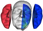 From Faces To Volumes - Measuring Volumetric Asymmetry in... — publication preview