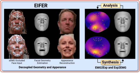 Electromyography-Informed Facial Expression Reconstructio... — publication preview