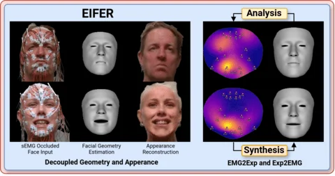 Electromyography-Informed Facial Expression Reconstructio... — publication preview
