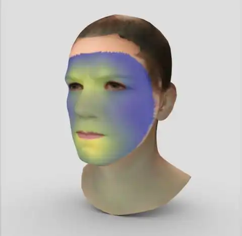 Atlas of 3D Face Models of Facial Muscle Activation Durin... — publication preview