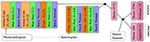 Outcome Prediction and Murmur Detection in Sets of Phonoc... — publication preview